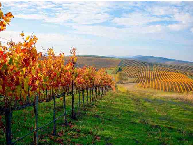 PEJU PROVINCE WINERY - Wine Tasting and Estate Tour for Six People