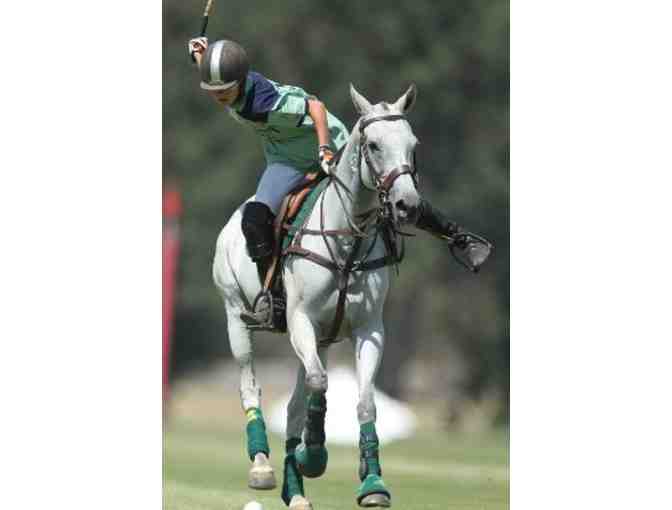 HYT POLO SCHOOL - One Private Polo Lesson