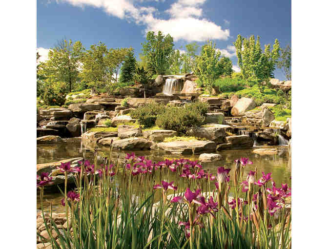 Grand Rapids Getaway - Photo 5