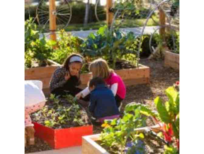 The New Children's Museum - Family Four-Pack (4) of Guest Passes