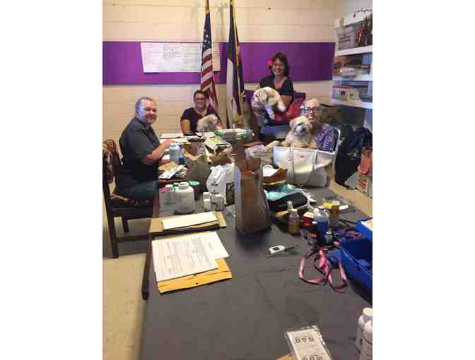 Gift Certificate - Veterinary Services