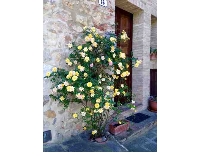 Weeklong Stay at a Townhouse in Tuscany, Italy