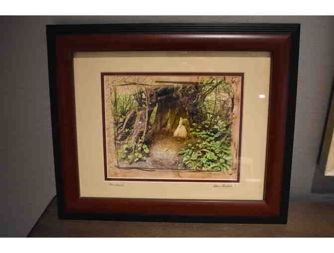 'Fairyland Photograph' by Doris Diamond