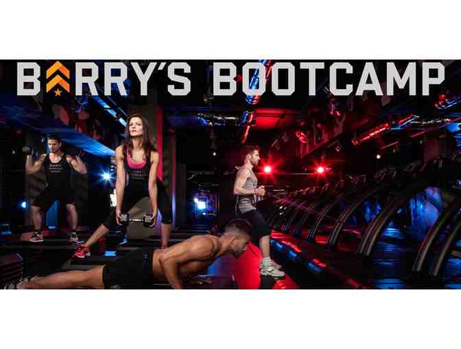 Hustle for that Muscle: Fitness Package