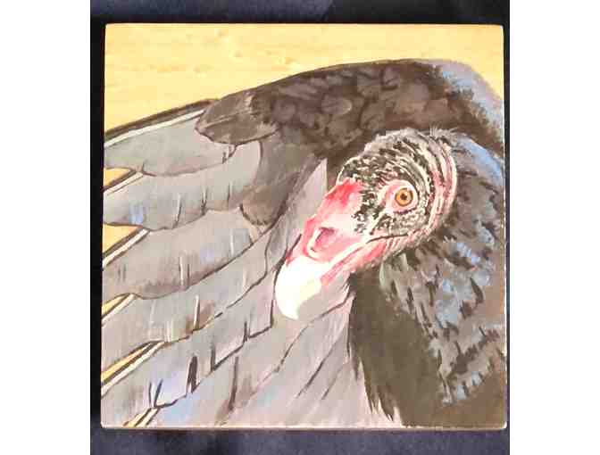 'Drinking with Raptors' Set of 4 Hand Painted Turkey Vulture Coasters