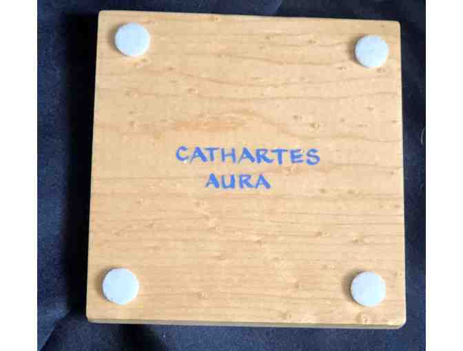 'Drinking with Raptors' Set of 4 Hand Painted Turkey Vulture Coasters