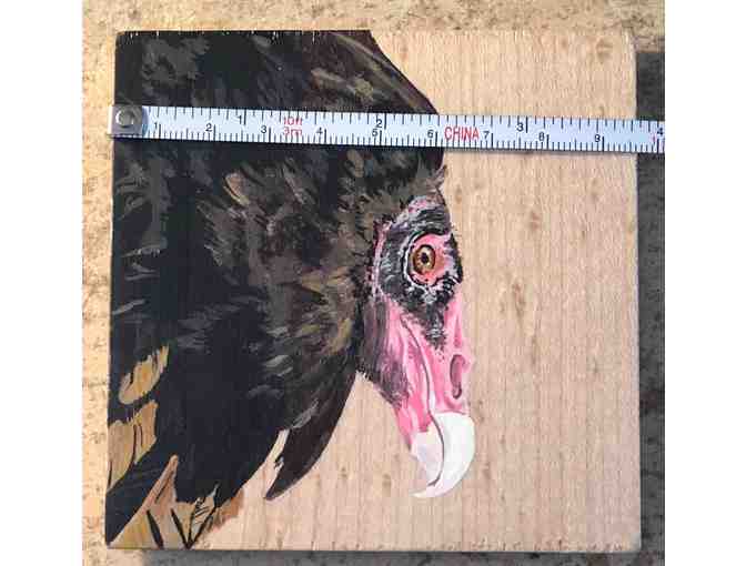 'Drinking with Raptors' Set of 4 Hand Painted Turkey Vulture Coasters
