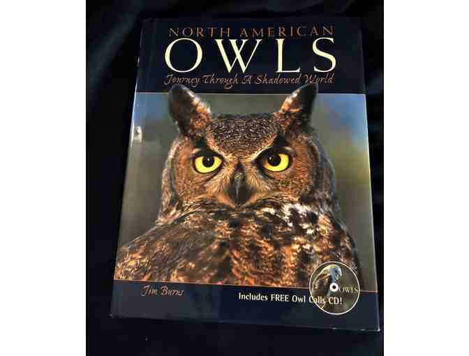 Trio of Raptor Books