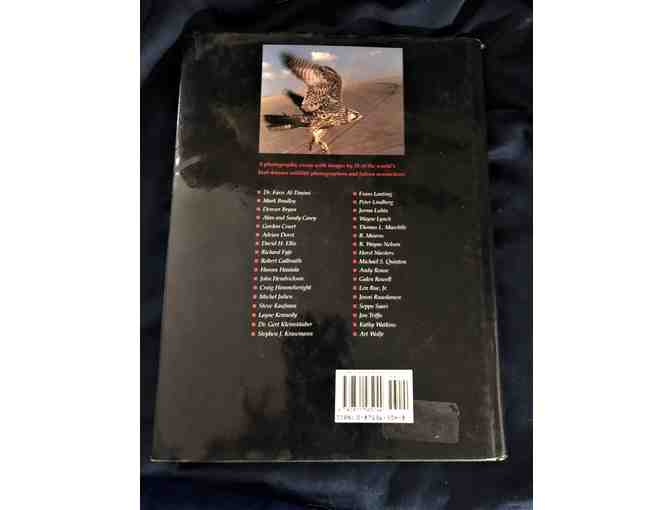 Trio of Raptor Books