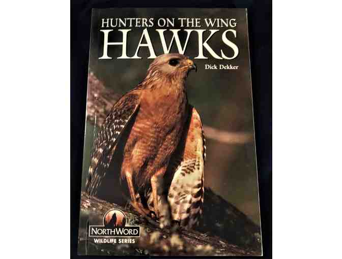 Trio of Raptor Books