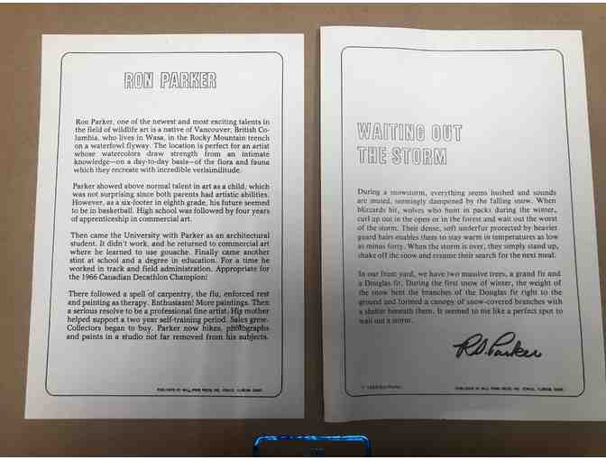 Waiting Out the Storm by R.S. Parker Ltd. Ed.