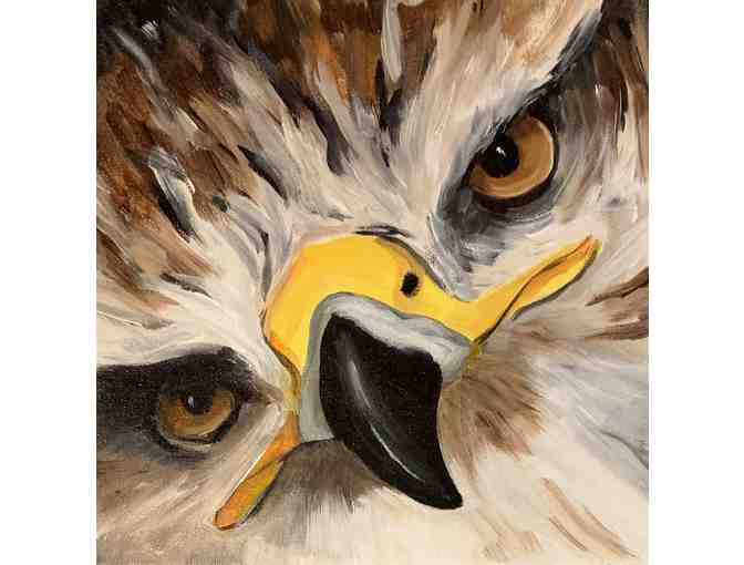 RMRP Educational Ambassador Portraits