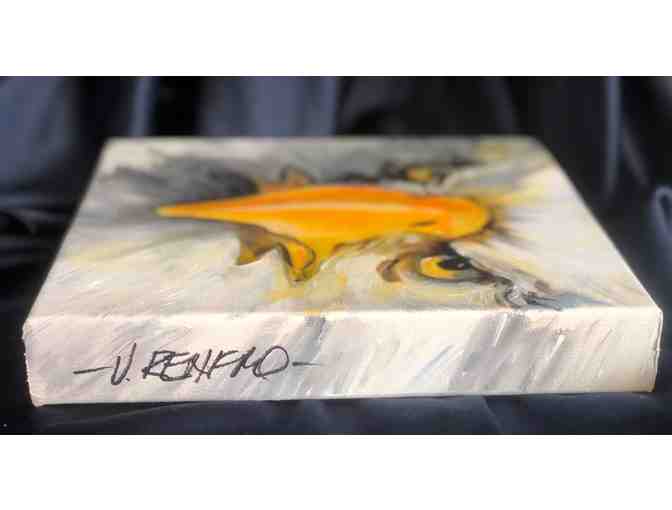 RMRP Educational Ambassador Portraits