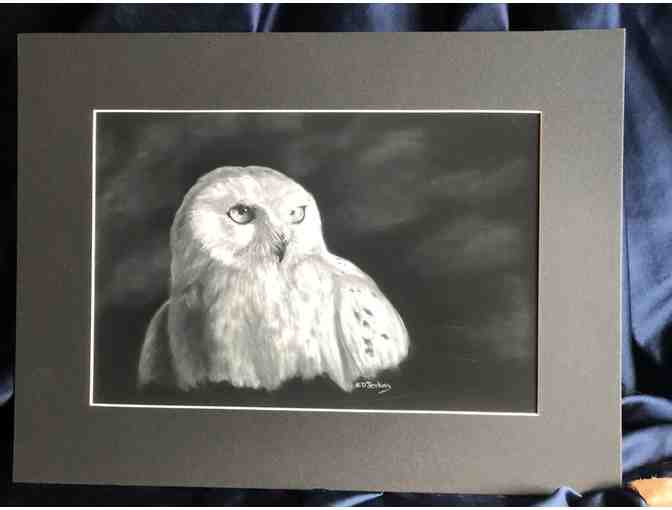 Snowy Owl Print