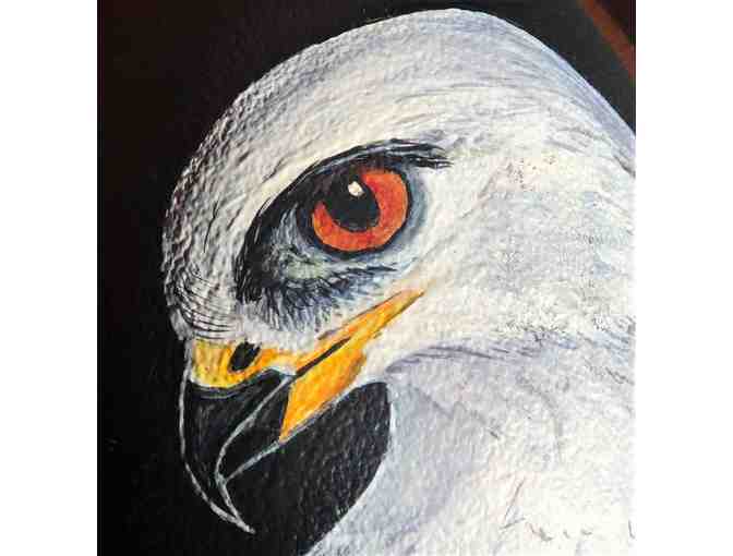 White Tailed Kite, Painted Emu Egg