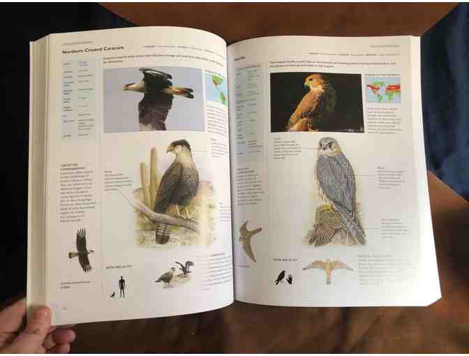 Your Backyard Habitat is Where it's At!