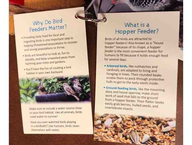 Your Backyard Habitat is Where it's At!