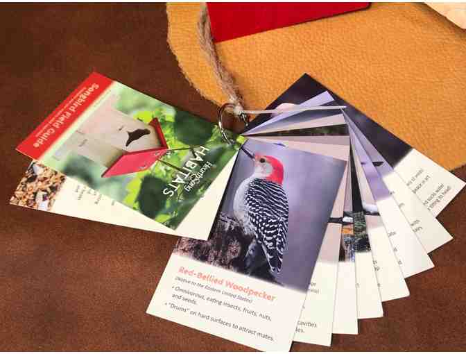 Your Backyard Habitat is Where it's At!