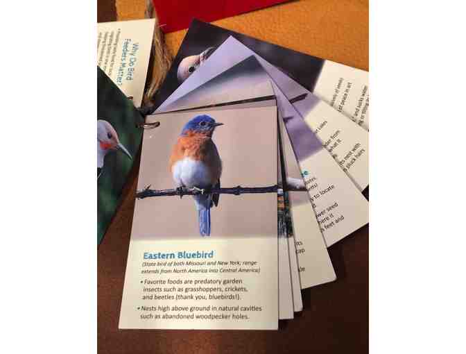 Your Backyard Habitat is Where it's At!