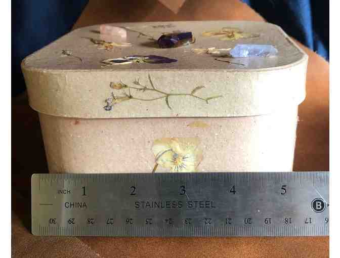 Improve Your Indoor Habitat