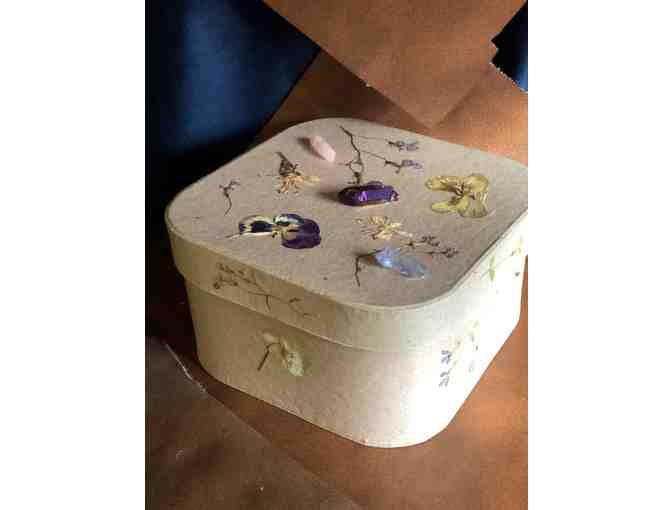 Improve Your Indoor Habitat