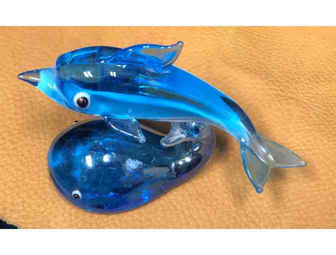 Improve Your Indoor Habitat