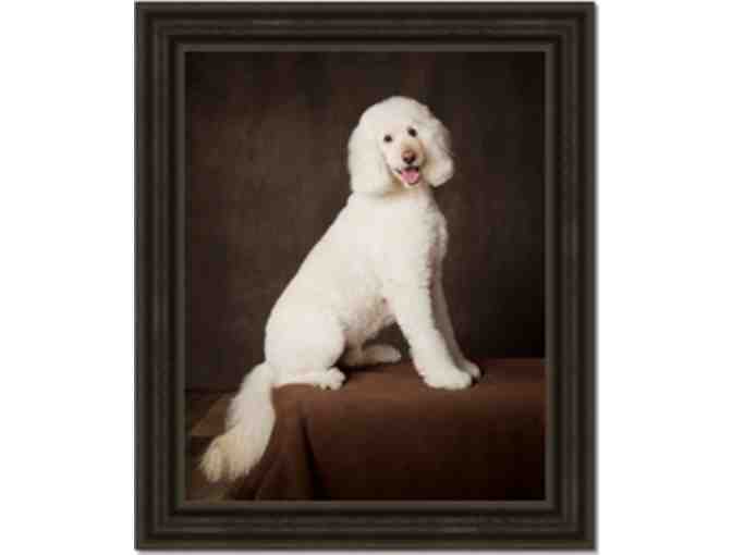 Healthy and Beautiful - Cat or Dog