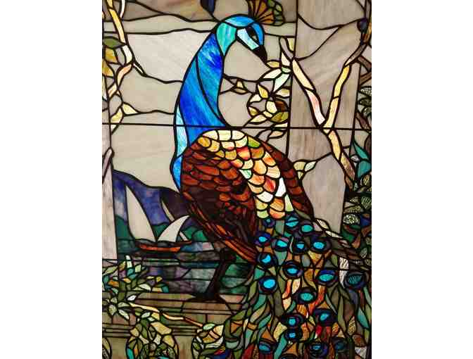 Peacock Stained Glass