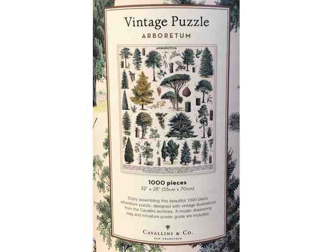 Premium Pandemic Party Survival Package