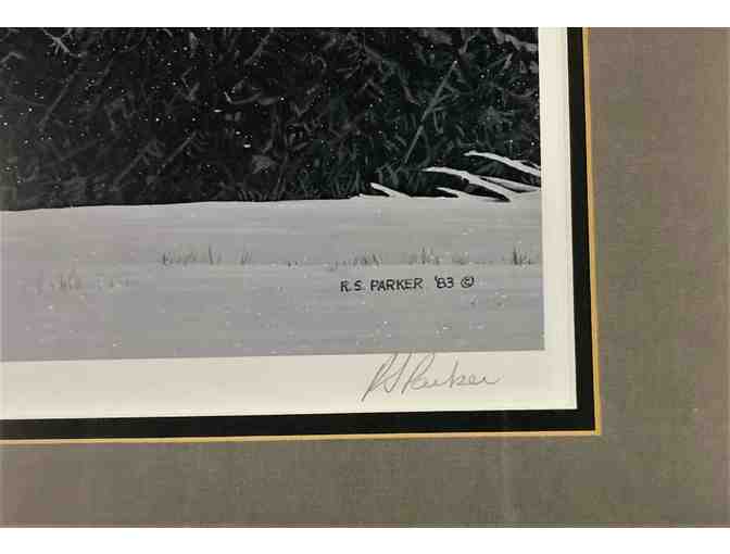 Framed Gray Wolf Portrait by R.S. Parker