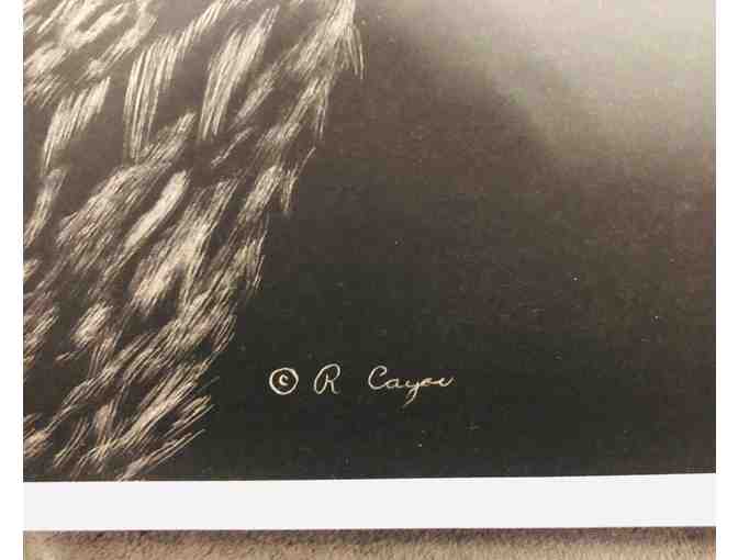 'Raven' Print of Scratchboard Art