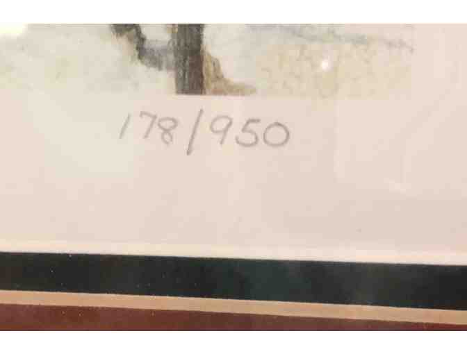 PREMIER - 'Mantling', Red-tailed Hawk by George McLean