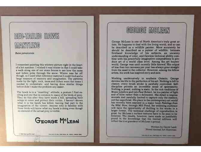 PREMIER - 'Mantling', Red-tailed Hawk by George McLean