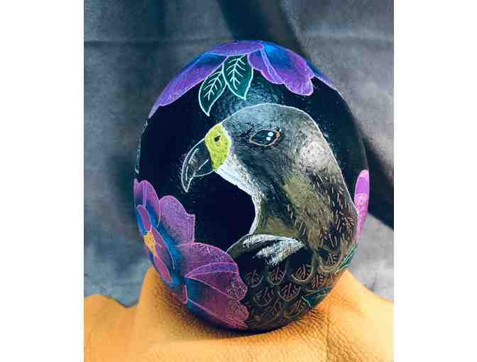 EGGS-TRAVAGANZA - Swainson's Hawk Ostrich Egg