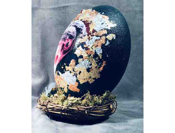 EGGS-TRAVAGANZA - Turkey Vulture Emu Egg