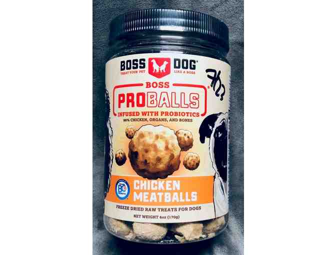 PREMIER - Pet Gift Collection from Poudre Pet and Feed