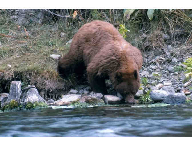 PREMIER - Choose Your National Park Adventure: Glacier, Grand Teton, or Yosemite