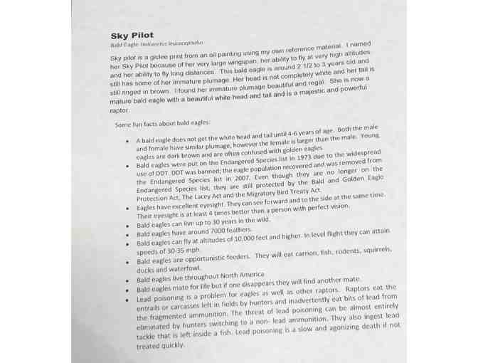 'Sky Pilot' Bald Eagle Print