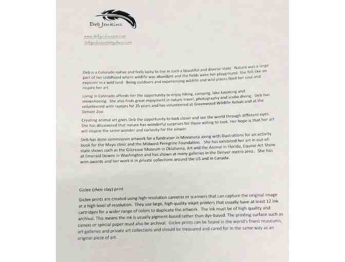 'Sky Pilot' Bald Eagle Print