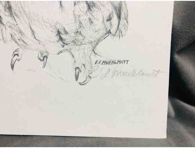 PREMIER - Framed, Signed Owl Print by E.F. Muehlmatt