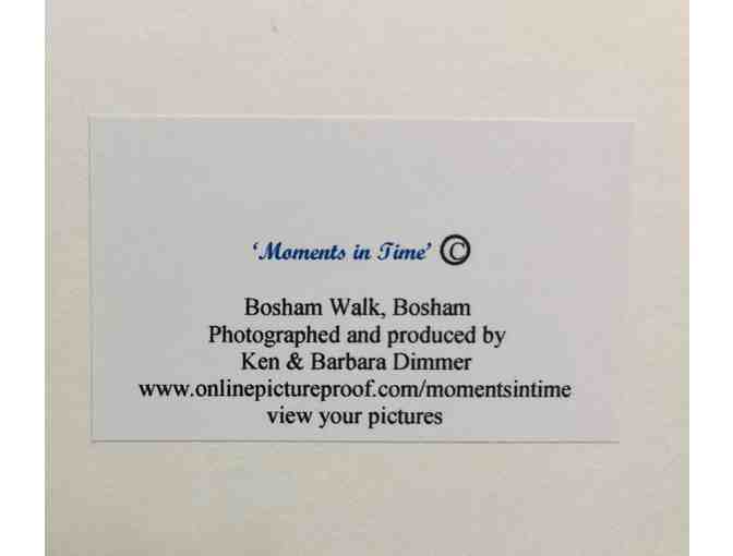 Barn Owls Matted Photograph