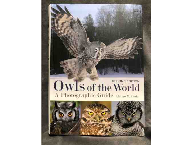 A Parliament of Owl Books