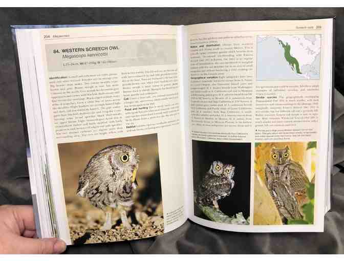 A Parliament of Owl Books