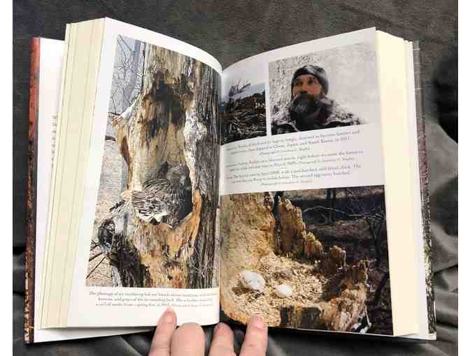 A Parliament of Owl Books