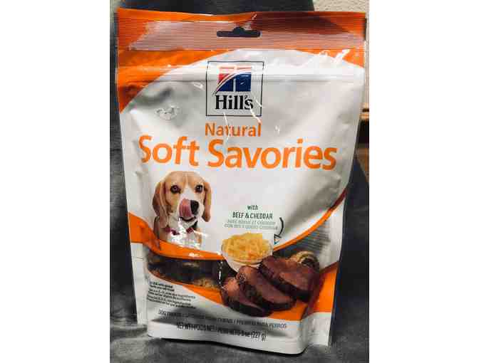 Pet Exam and Gift Basket