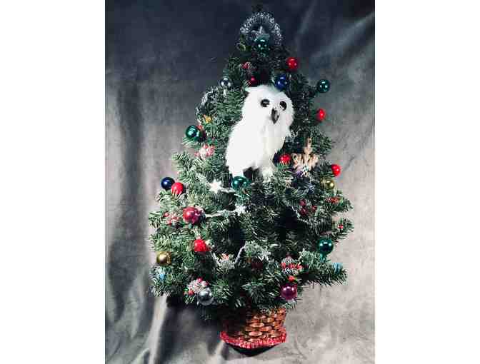 A Wreath for All Seasons