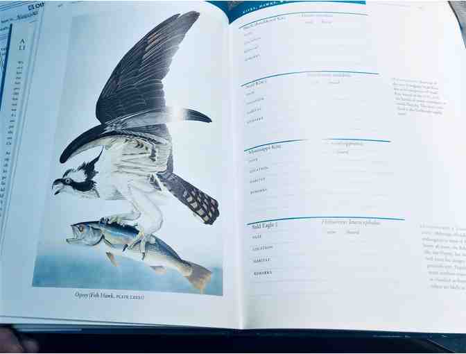 $50 Gift Certificate and Gift Basket