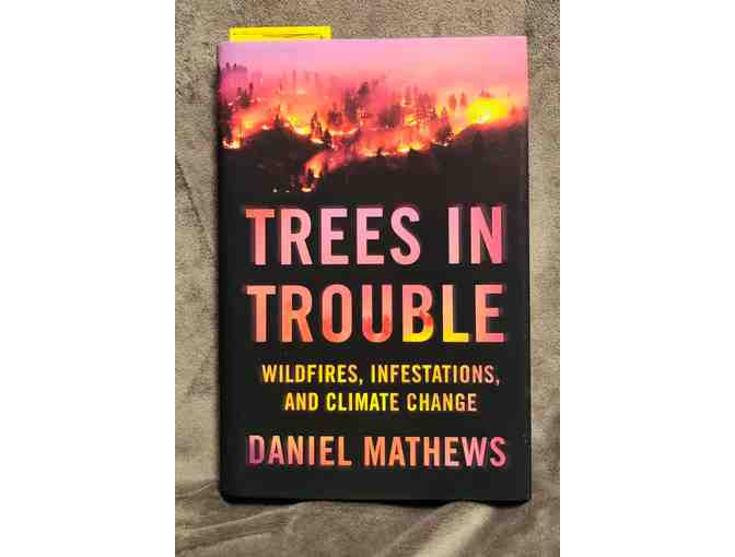 Tools to Create a Better World