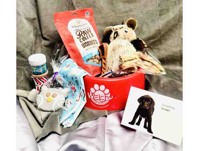 Pampering For Your Pooch!