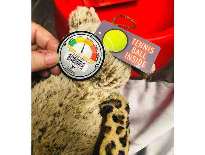 Pampering For Your Pooch!